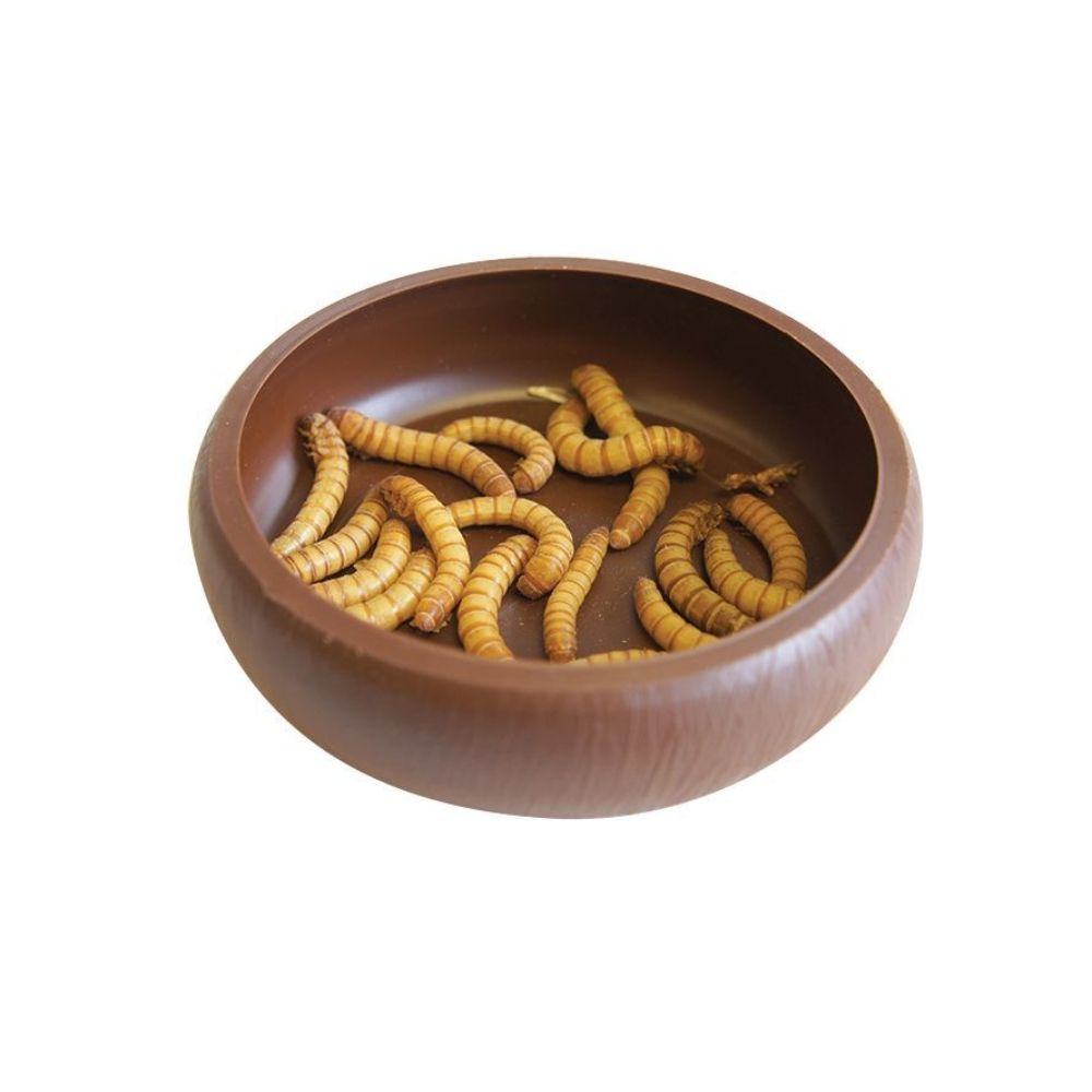 Vas pentru hrănirea reptilelor, Komodo Mealworm Dish