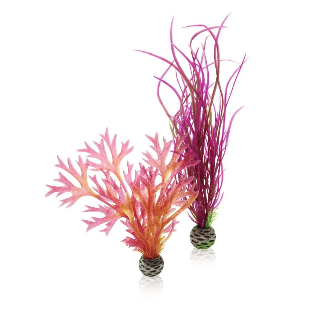 Decor artificial set 2 plante roșu și roz, Oase biOrb plant set red si pink, M