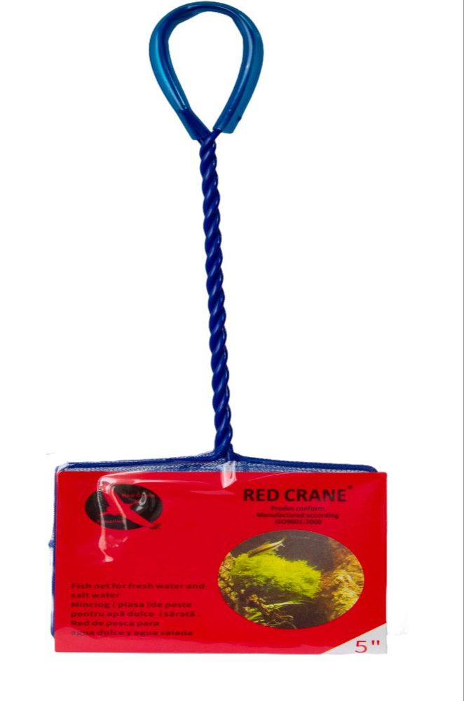 Kék hazug, 17 cm, Vörös daru