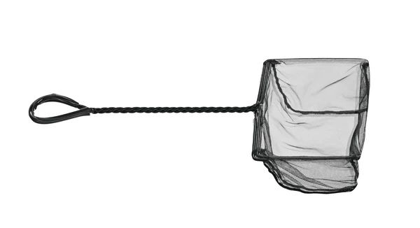Minciog 10 cm, Halhálócsontok