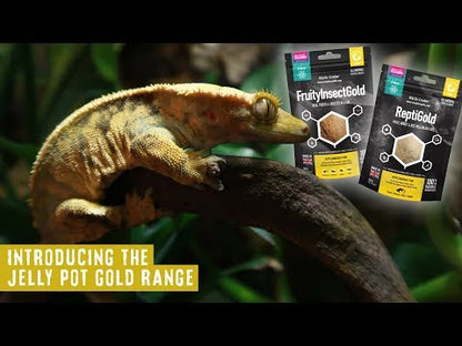 Supliment pentru Reptile Arcadia ReptiGold, pungă resigilabilă 50g