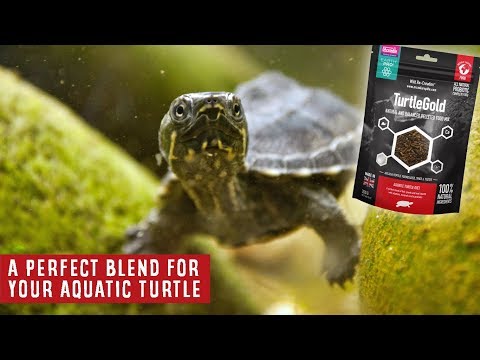 Arcadia TurtleGold Turtle Food, visszazárható zacskó 300g